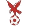 https://img.cbdxie.com/img/football/team/4802d26df935b78bb2fcdbbff36e8864.png